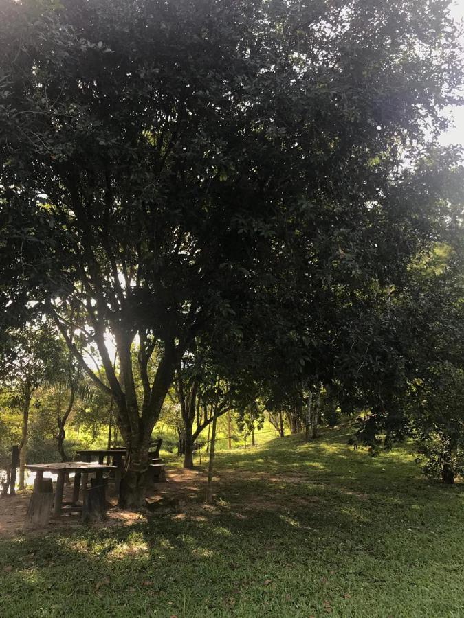 Hotel Pousada Bambuzal Sana Bagian luar foto